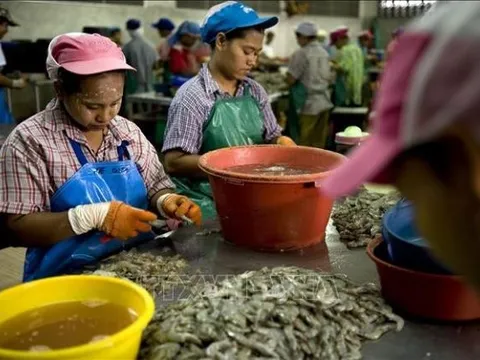 Thái Lan gia hạn giấy phép cho lao động nhập cư từ Việt Nam