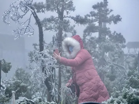 Miền Bắc rét đậm, rét hại, có nơi xuất hiện mưa tuyết và băng giá