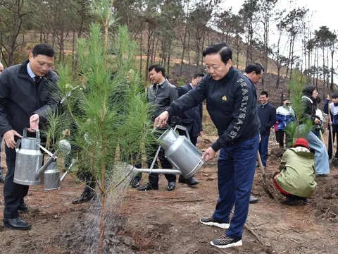 Phó Thủ tướng Trần Hồng Hà tham gia Tết trồng cây nhớ ơn Bác Hồ