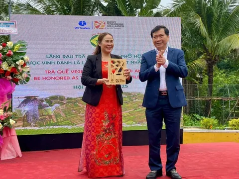 Làng rau Trà Quế đón nhận danh hiệu 'Làng du lịch tốt nhất năm 2024'