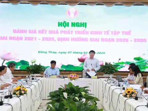 Đồng Tháp: Nhiều giải pháp đẩy mạnh, củng cố và phát triển kinh tế tập thể