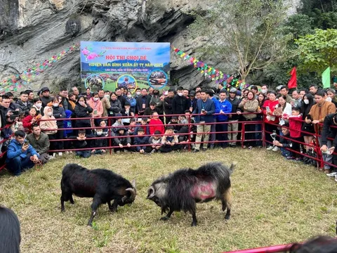 Tuyên Quang: Độc đáo hội thi chọi dê