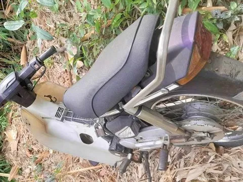 Đi hái măng, người dân phát hiện thi thể nam giới trong tư thế treo cổ