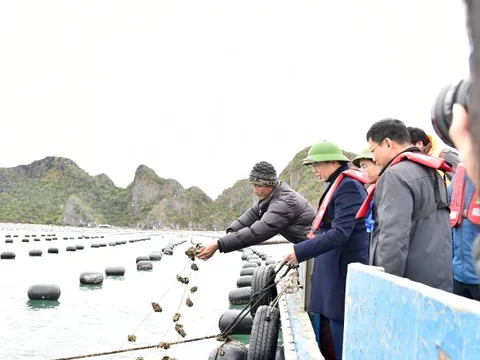 Nuôi trồng thuỷ sản phải chuyển nhanh sang công nghệ cao, bền vững