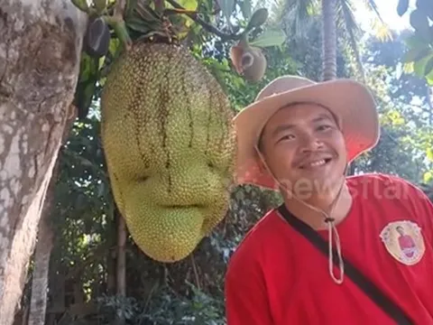 Quả mít có hình thù "lạ", người dân nườm nượp kéo đến chụp ảnh, thắp hương