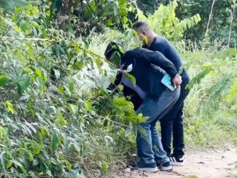 Bí mật động trời bên trong bao tải bốc mùi bị vứt ven đường