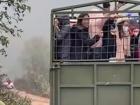 Vụ tài xế xe tải chở nhiều người trên thùng đi ngắm hoa mận: Xử phạt thế nào theo Nghị định 168/2024/NĐ-CP?