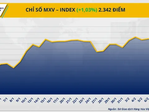 Diễn biến Chỉ số MXV-Index sau chính sách thuế của Mỹ