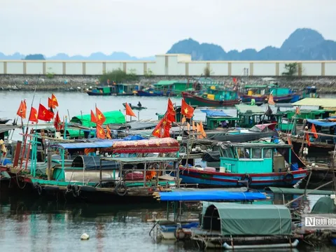 Siết chặt xử lý vi phạm hành chính trong khai thác thủy sản