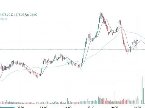Nhà đầu tư có thể mua mới cổ phiếu khi thị trường điểu chỉnh ở tuần 10 - 14/2