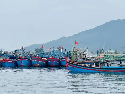 Miền Trung: Ngư dân rộn ràng vươn khơi đánh bắt đầu năm