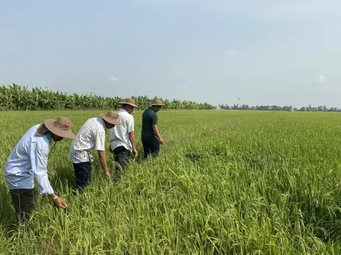 Xuất khẩu nông sản: Cần tìm động lực tăng trưởng bền vững