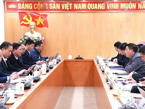 Phối hợp gỡ vướng các dự án truyền tải điện trên địa bàn tỉnh Lai Châu