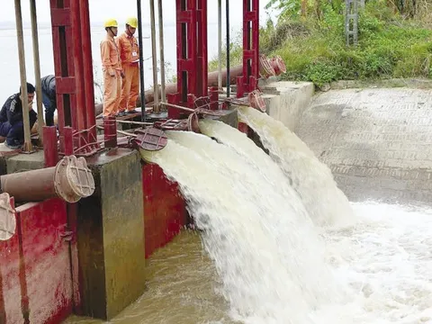 Tiết kiệm hơn 600 triệu m3 nước sản xuất vụ đông xuân