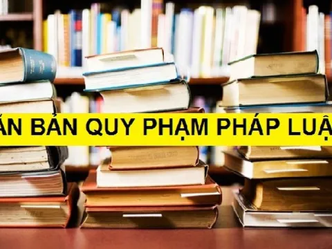 Giải pháp khắc phục ‘độ trễ’ của việc ban hành văn bản pháp luật đối với thực tiễn