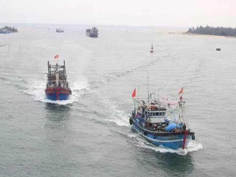 Quảng Trị tiếp tục triển khai đồng bộ các giải pháp chống khai thác IUU