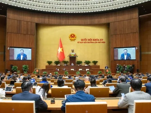 Phân cấp, phân quyền mạnh cho Hà Nội và TP HCM phát triển hệ thống mạng lưới đường sắt đô thị