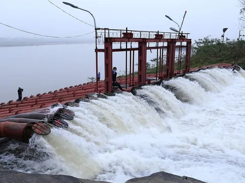 96,3% diện tích khu vực Trung du và đồng bằng Bắc Bộ đã đủ nước gieo cấy