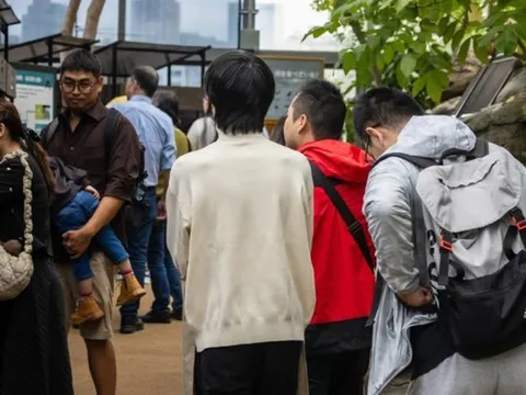Lý do một sở thú cấm du khách nam đi tham quan một mình