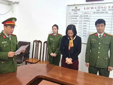 Làm giả giấy tờ để được chỉ định thầu, một phụ nữ bị khởi tố