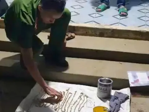 Vụ cướp tiệm vàng ở Lâm Đồng: Thu hồi 12 sợi dây chuyền vàng chôn giấu trong vườn