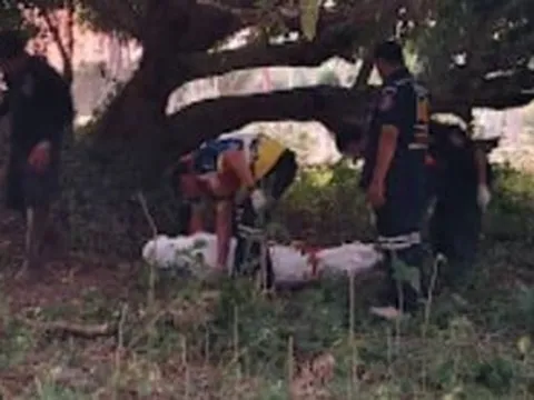 Phát hiện người phụ nữ 22 tuổi tử vong dưới gốc cây xoài