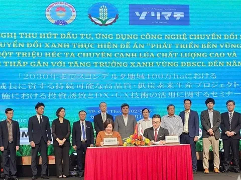 Đẩy mạnh chuyển đổi xanh trong thực hiện Đề án 1 triệu ha lúa chất lượng cao