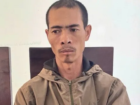 Vụ vườn cây bị cưa phá ở Gia Lai: Bắt tạm giam anh rể