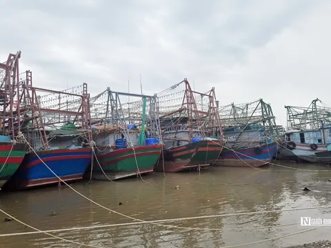 Tại sao Hải Phòng đề xuất dừng xây dựng chính sách hỗ trợ giải bản tàu cá?