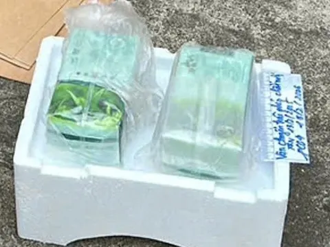 Triệt phá đường dây ma túy liên tỉnh có người nước ngoài tham gia