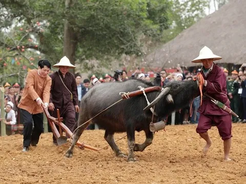 Chủ tịch nước nhảy sạp, xuống đồng cày ruộng cùng nhân dân