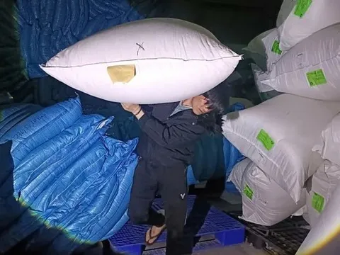 Tạm giữ 3 đối tượng lấy trộm 1,7 tấn lông vũ trị giá 1,6 tỷ đồng