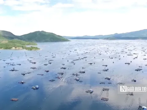 Sớm quy hoạch, gỡ khó cho "thủ phủ tôm hùm" Phú Yên