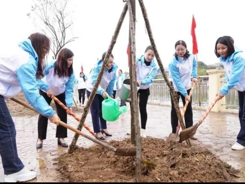 Hội LHPN huyện Thạch Thất phát động Têt trồng cây "Phụ nữ vun trồng tương lai"