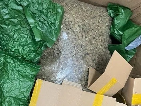 Đề nghị truy tố 14 đối tượng trong đường dây mua bán hơn 700kg cần sa