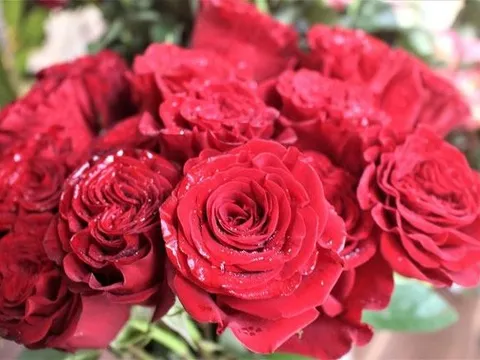 Thú vị lễ Tình nhân Valentine trên thế giới