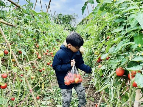 Lợi ích khi trẻ được khám phá