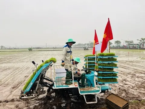 Tưng bừng hội thi cấy mạ khay và vận hành máy cấy giỏi Hà Nội năm 2025