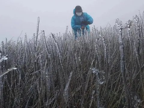Miền Bắc sắp đón không khí lạnh "lạ thường", có nơi cực kỳ rét kèm mưa