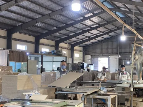 Ngành gỗ phát triển bền vững từ vùng nguyên liệu
