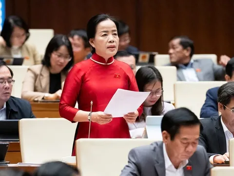 Đề xuất mạnh dạn bỏ đấu thầu, áp dụng cơ chế đặt hàng trong nghiên cứu khoa học