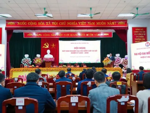 Huyện Thường Tín: Các Chi bộ, Đảng bộ khẩn trương hoàn thành công tác chuẩn bị Đại hội Đảng nhiệm kỳ 2025- 2030
