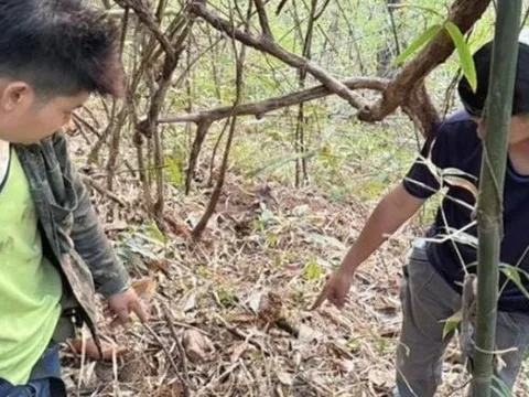 Nam thanh niên bắn ông lão tử vong vì tưởng là lợn rừng