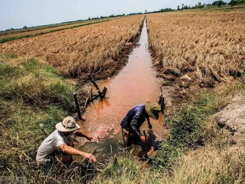 Ứng phó xâm nhập mặn cao điểm ở ĐBSCL