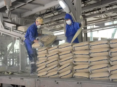Nghiên cứu việc giảm thuế xuất khẩu đối với mặt hàng clanhke xi măng