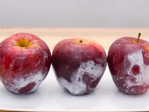 2 loại quả dễ "tắm'' hóa chất, cái số 1 giòn ngọt nhiều người mê