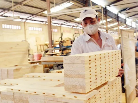Xuất khẩu kỷ lục, ngành gỗ vẫn chật vật duy trì lợi nhuận