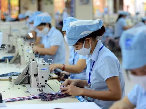 Rà soát địa bàn áp dụng mức lương tối thiểu