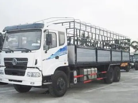 Những trường hợp được chở người trên ô tô chở hàng năm 2025, ai cũng nên biết