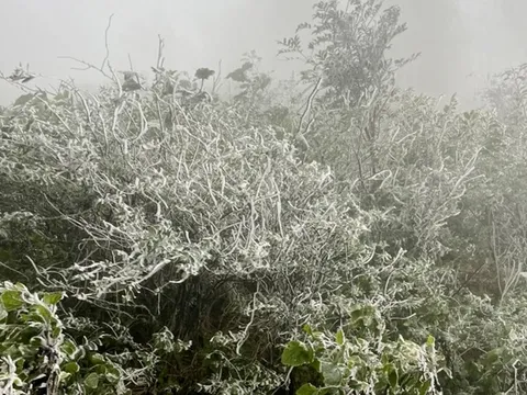 Bắc Bộ chuyển rét đậm, rét hại